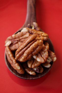 Pekan fındık yakın çekim