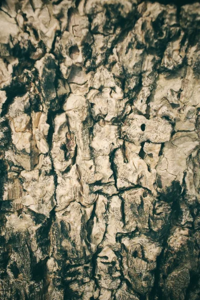 Vintage Holz Hintergrund — Stockfoto