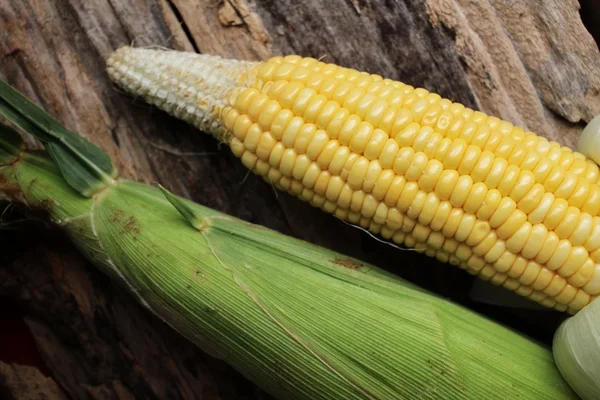 Fresh corn — Stock Photo, Image