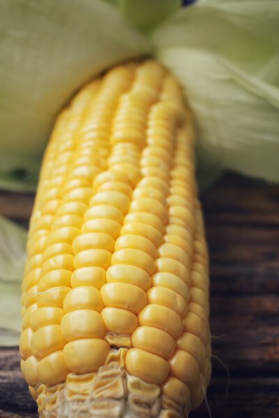 Fresh corn