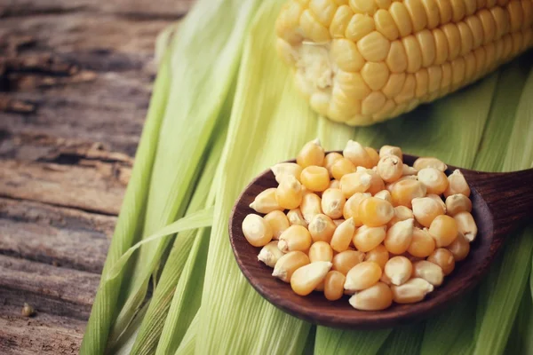 Fresh corn and seeds — Stock Photo, Image