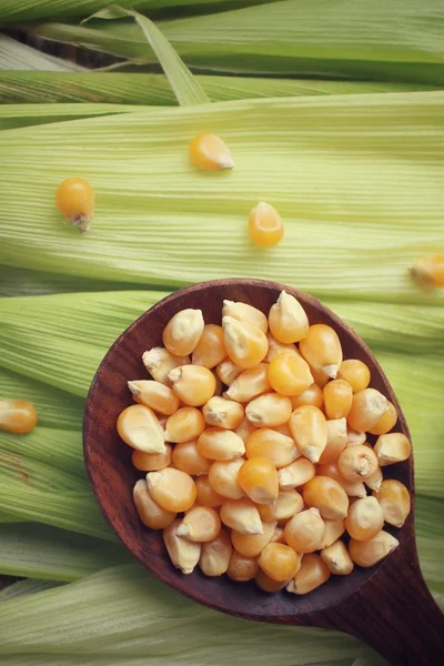 Čerstvé kukuřice a semena — Stock fotografie
