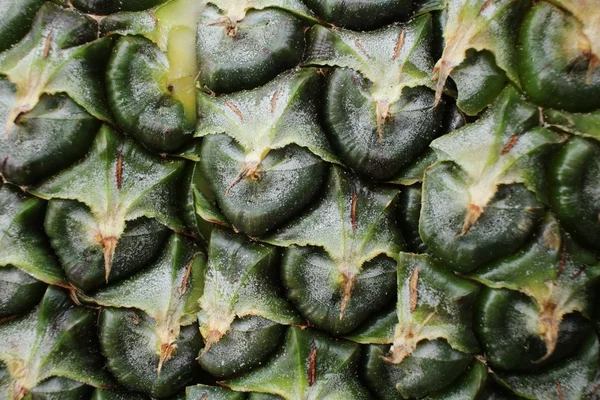 Pineapple skin — Stock Photo, Image