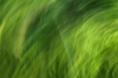 Soyut Yeşil ışık yollar