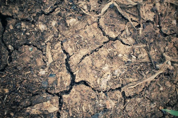 ひびの入った乾燥土壌 — ストック写真