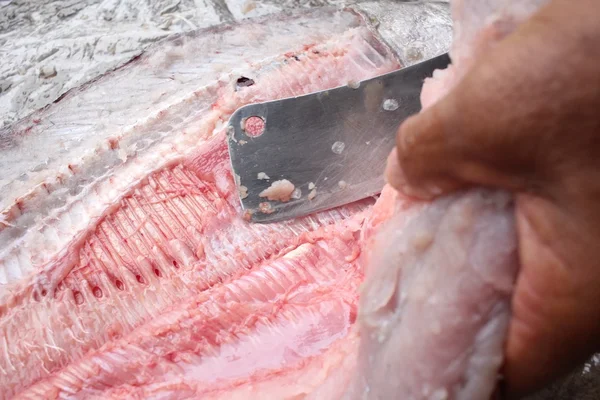 Rå färsk fiskfilé — Stockfoto