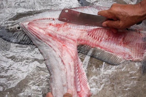 Rå färsk fiskfilé — Stockfoto