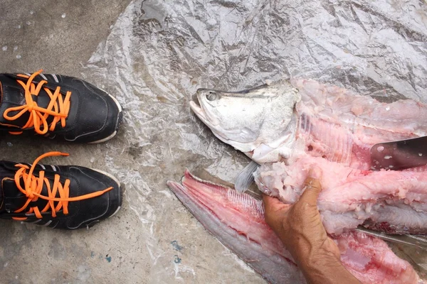Selfie van schoenen met rauwe verse visfilet — Stockfoto