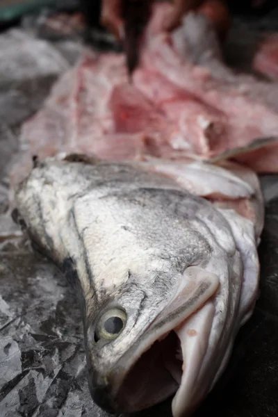 Syrové čerstvé rybí filé — Stock fotografie