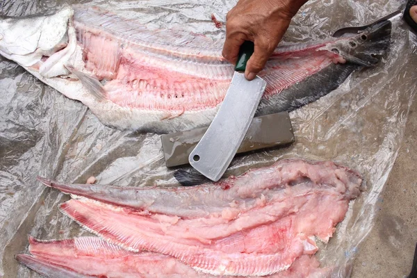 Surowe ryby świeże filety — Zdjęcie stockowe