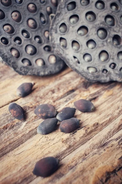 Dried lotus seeds — Stock Photo, Image