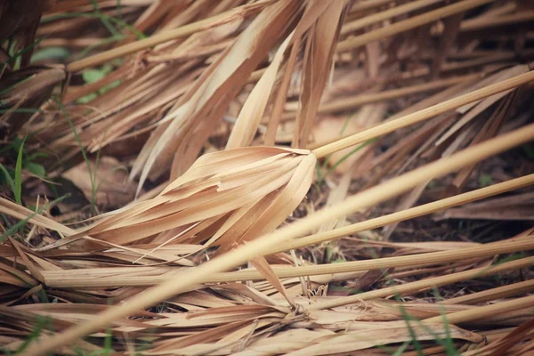 Сушеної трави — стокове фото