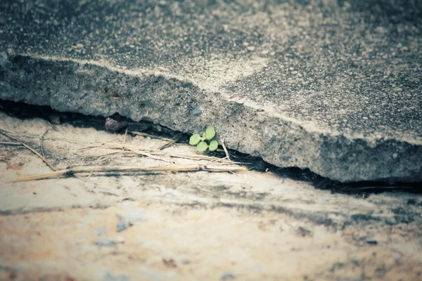 Cracks on the road — Stock Photo, Image