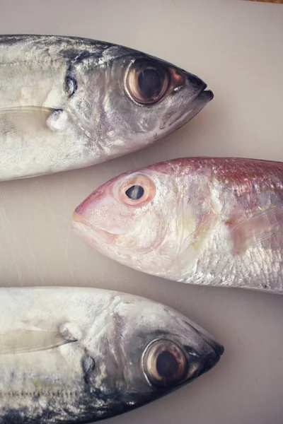 Fresh raw fish — Stockfoto