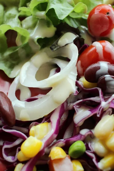 Verse salade met mayonaise — Stockfoto