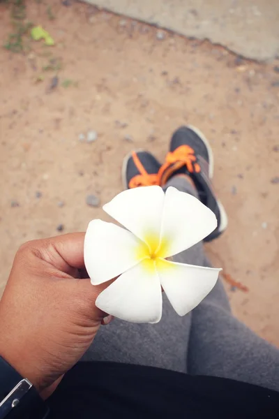 Selfie of white frangipani flower with hand — Stock Photo, Image