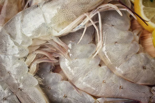 Camarones crudos — Foto de Stock