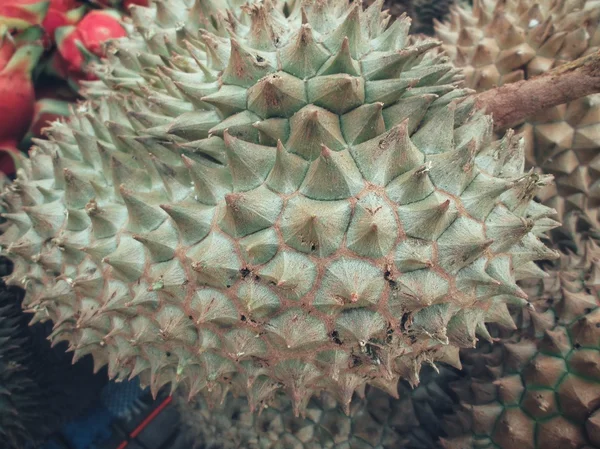 Durian. — Zdjęcie stockowe