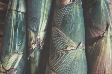Bambu sürgün gıda Asya