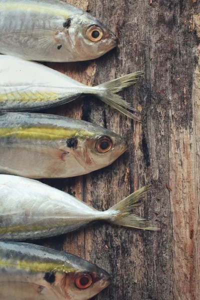 Pesce crudo fresco — Foto Stock