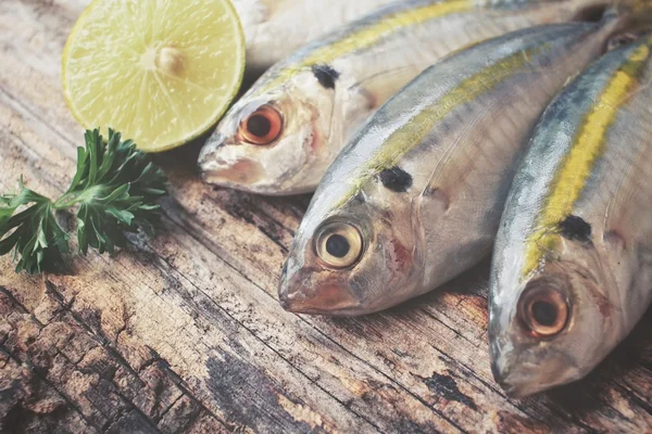 Färsk rå fisk — Stockfoto