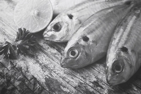 Frischer roher Fisch — Stockfoto
