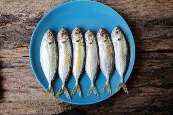 Frischer roher Fisch — Stockfoto