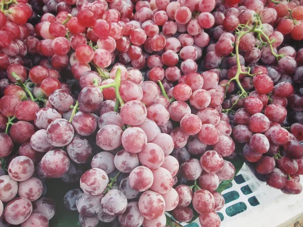 Fresh grapes — Stock Photo, Image