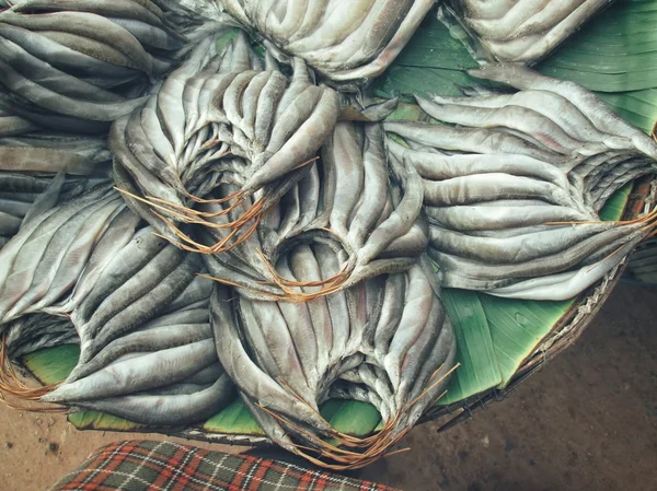 Peixe cru fresco — Fotografia de Stock