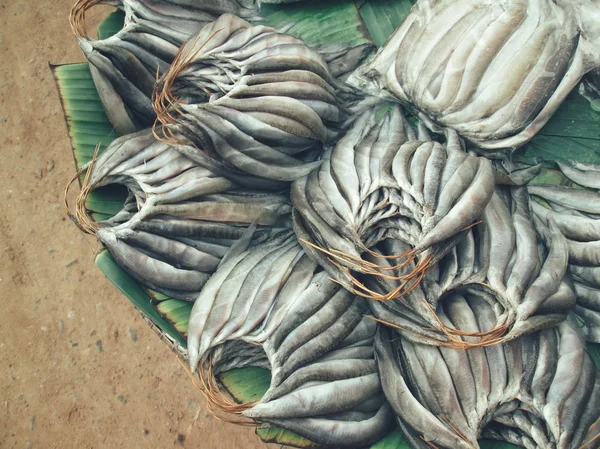 Frischer roher Fisch — Stockfoto