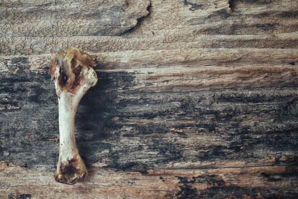 Chicken bones