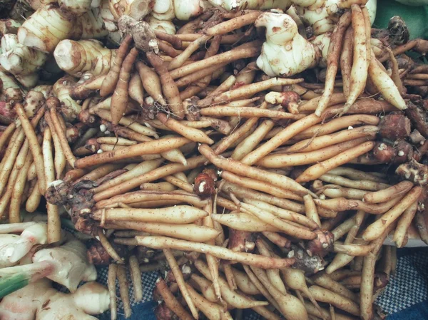 Fingerroot ot Asya'da 