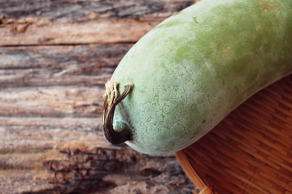 Vinter melon — Stockfoto