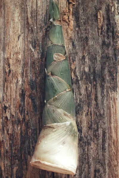 Bamboo natáčení potravin Asie — Stock fotografie