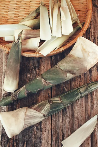 Pousses de bambou — Photo