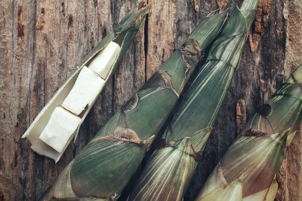 Broto de bambu — Fotografia de Stock