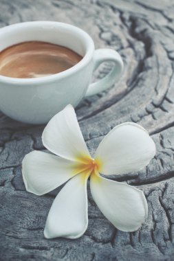 Espresso kahve ile frangipani çiçek