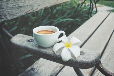 Espresso kahve ile frangipani çiçek bankta