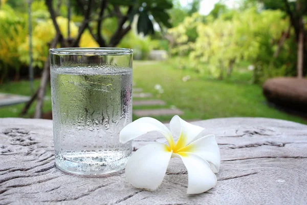 Drink water with frangipani flower — Stock Photo, Image