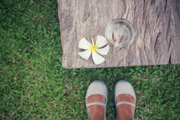 Selfie de água de bebida com flor de frangipani — Fotografia de Stock