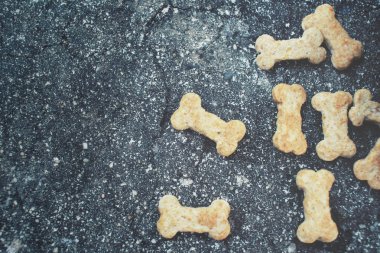 köpek ve kedi için Kuru gıda