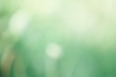 Vintage yeşil bokeh