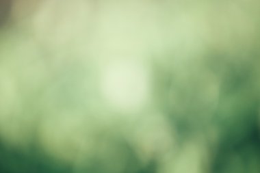 Vintage yeşil bokeh