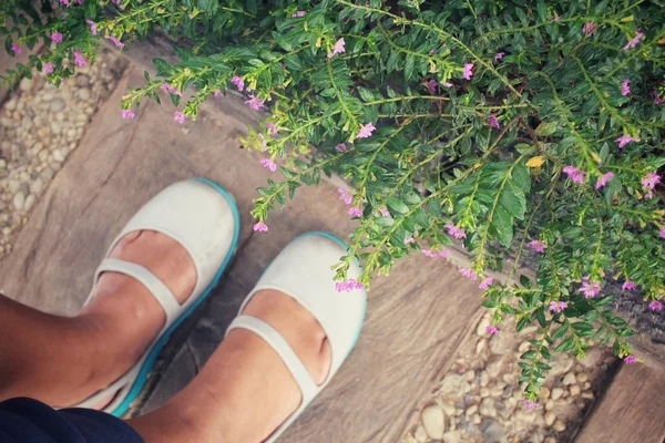 Selfie de zapatos con flores rosas —  Fotos de Stock