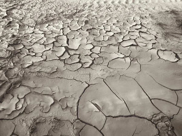 Pęknięty suche gleby — Zdjęcie stockowe