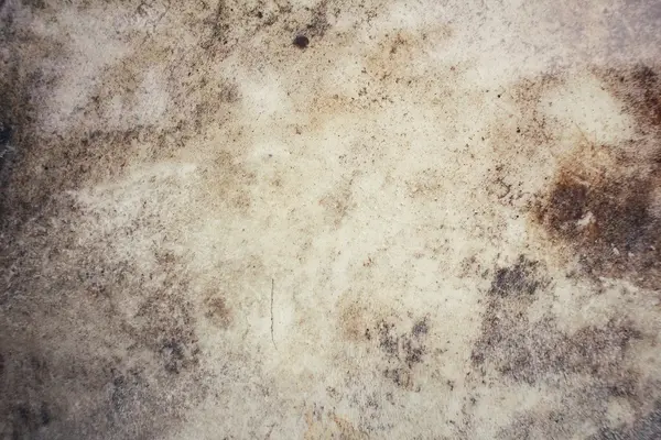 eski gri duvar