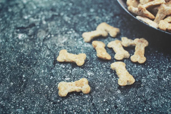 Droog voedsel voor hond en kat — Stockfoto