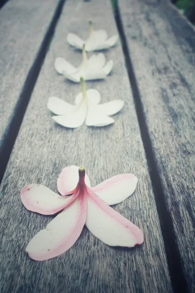 Květiny bílé keře na staré dřevo — Stock fotografie