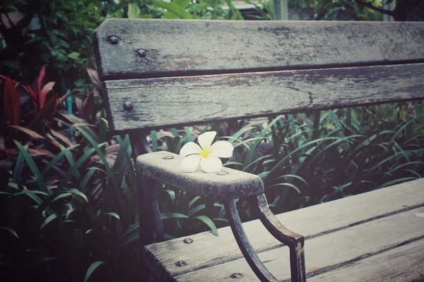 Frangipani bloem op bank stoel — Stockfoto