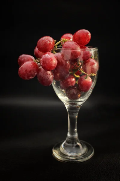 Uvas frescas en copa de vino — Foto de Stock